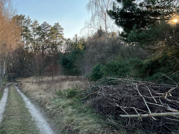 Grundstück zum Kauf 295.000 € 2.650 m² Grundstück Bad Belzig Belzig 14806