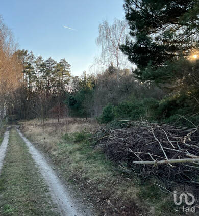 Grundstück zum Kauf 330.000 € 2.650 m² Grundstück Bad Belzig Belzig 14806
