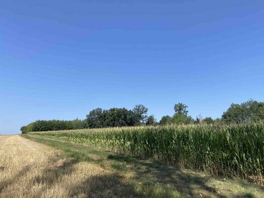 Land-/Forstwirtschaft zum Kauf 191.850 € 12.760 m² Grundstück Flurstück 139 Pförring Pförring 85104