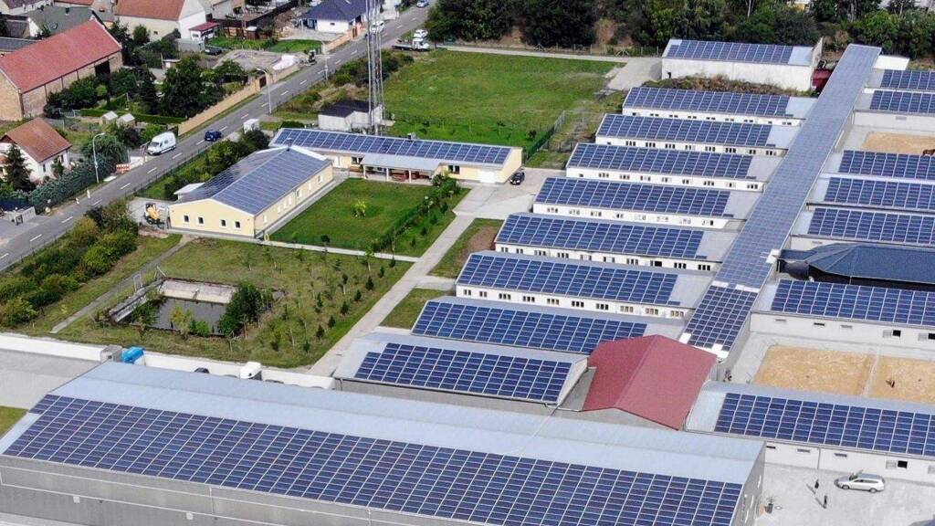 Lagerhalle zur Miete provisionsfrei 899 € 490 m² Lagerfläche Rödgen Delitzsch 04509