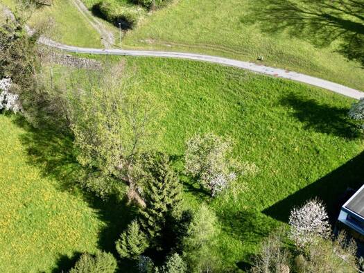 Grundstück zum Kauf 835 m² Grundstück Klaus 6833