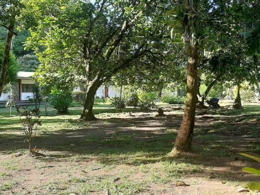 Wohnung zum Kauf 2.164.790 € 1.514 m² Rio Tortuguero Limón Pococi Colorado 70206