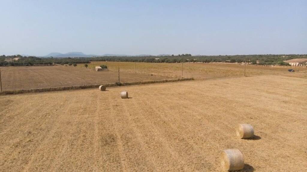 Grundstück zum Kauf 725.000 € 100.000 m² Grundstück Campos 07630