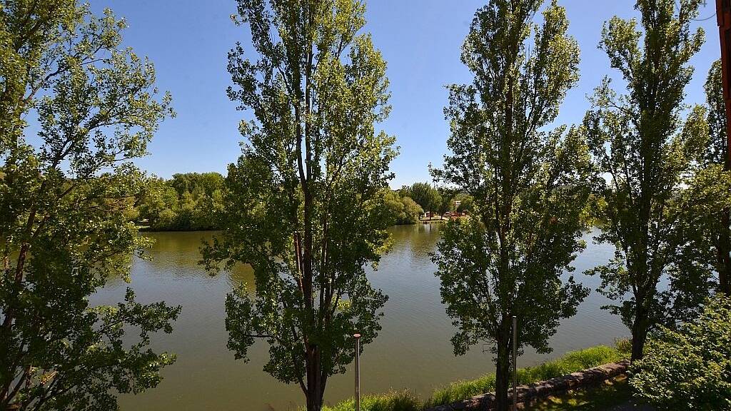 Studio zur Miete auf Zeit 685 € 1 Zimmer 16 m² frei ab sofort Margetshöchheim 97276