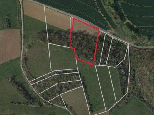 Land-/Forstwirtschaft zum Kauf provisionsfrei 12.500 € 6.670 m² Grundstück Bennungen Südharz 06536