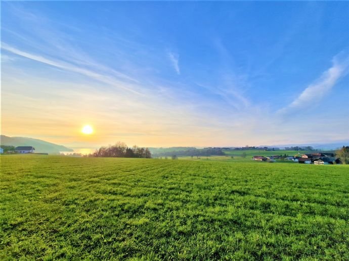 Terrassenwohnung zur Miete 1,5 Zimmer 40,2 m²<br/>Wohnfläche 4.<br/>Geschoss ab sofort<br/>Verfügbarkeit LAGE: Neumarkt am Wallersee / Salzburg Umgebung / Seekirchen am Wallersee 5201