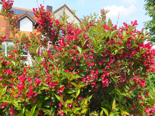 Villa zum Kauf 1.550.000 € 14 Zimmer 438 m² 2.848 m² Grundstück Köfering 93096