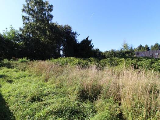 Grundstück zum Kauf provisionsfrei 44.500 € 1.424 m² Grundstück Arnsdorf Penig 09322