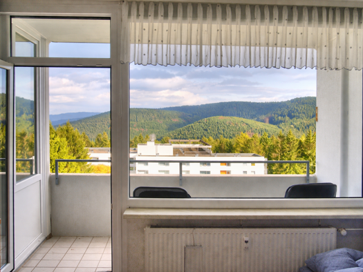 Wohnung zum Kauf provisionsfrei als Kapitalanlage geeignet 55.000 € 3 Zimmer 48 m² Hahnenklee Goslar 38644