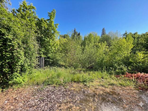 Grundstück zum Kauf 300.000 € 1.150 m² Grundstück Naumburg Naumburg (Saale) 06618