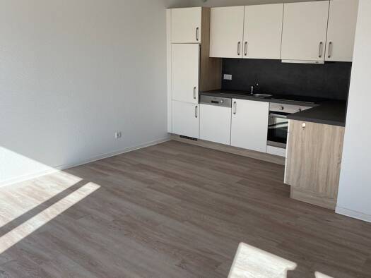 Studio zur Miete 733 € 2 Zimmer 58,7 m² frei ab sofort Neustadt 35279