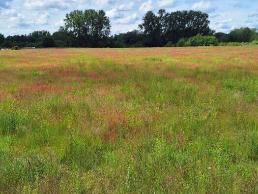 Landwirtschaftliche Fläche zum Kauf als Kapitalanlage geeignet 28.600 € 5.024 m² Grundstück Veltenhof Veltenhof - Rühme 38112