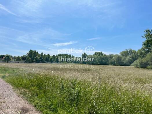 Land-/Forstwirtschaft zum Kauf 150.000 € 44.608 m² Grundstück Dölzig Schkeuditz / Dölzig 04435