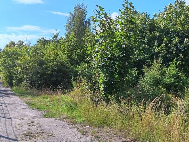 Gewerbegrundstück zum Kauf 71.500 € 2.489 m² Grundstück Prinz-Louis-Ferdinand-Straße 999 Saalfeld 07318