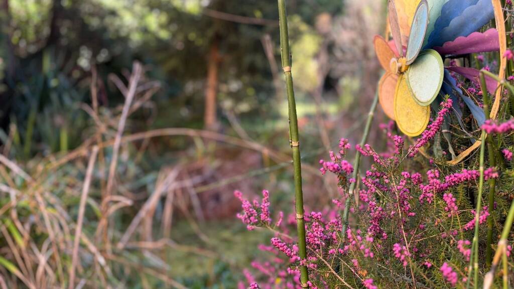 Einfamilienhaus zum Kauf 399.000 € 6 Zimmer 129 m² 931 m² Grundstück Oberdollendorf Königswinter 53639