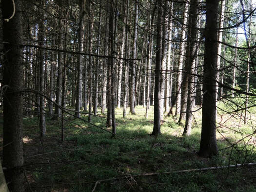 Land-/Forstwirtschaft zum Kauf 192.000 € 32.130 m² Grundstück Anterskofen Reisbach 94419
