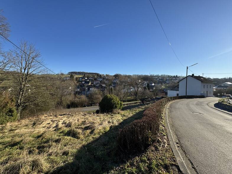 Grundstück zum Kauf 105.000 € 930 m² Grundstück Butzweiler Newel-Butzweiler 54309