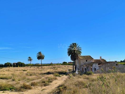 Acker-/Waldstück zum Kauf 385.000 € Elx / Elche 03292