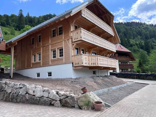 Wohnung zur Miete 680 € 1 Zimmer 50 m² Geschoss 1/4 frei ab 01.11.2026 Am Köpfle Menzenschwand St. Blasien 79837