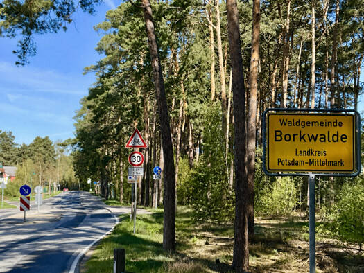 Grundstück zum Kauf provisionsfrei 120.000 € 497 m² Grundstück Borkwalde 14822