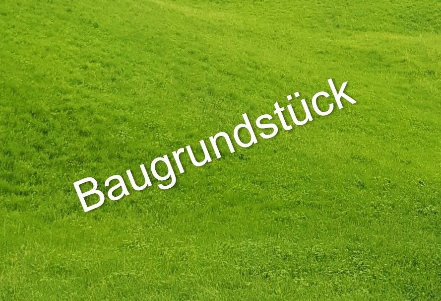 Grundstück zum Kauf 3.700 m²<br/>Grundstück Baden-Baden - Kernstadt Baden-Baden 76530