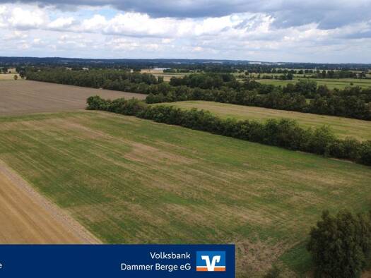Land-/Forstwirtschaft zum Kauf provisionsfrei 121.000 € 21.986 m² Grundstück Neuenkirchen Neuenkirchen-Vörden 49434