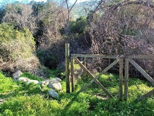 Büro zum Kauf 200.000.000 € Olmue