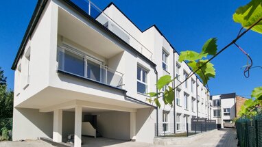 Wohnung zum Kauf 177.500 € 2 Zimmer 45,5 m² 2. Geschoss Mitschastraße Mistelbach 2130