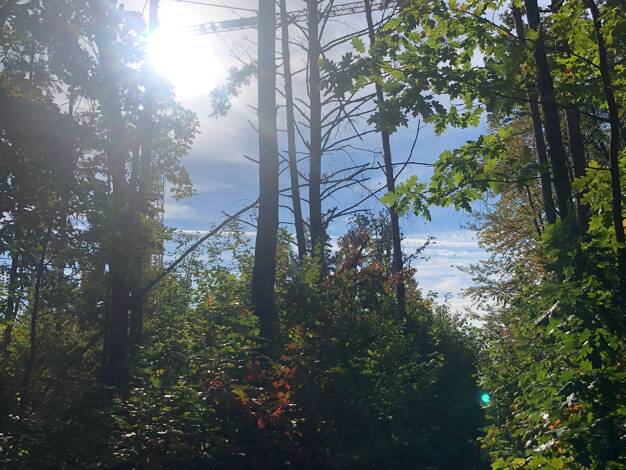 Wohnung zum Kauf - Erstbezug provisionsfrei 3 Zimmer 180,1 m² 2. Geschoss frei ab sofort Am Retzer Schübl 2 Steinberg Steinberg am See 92449