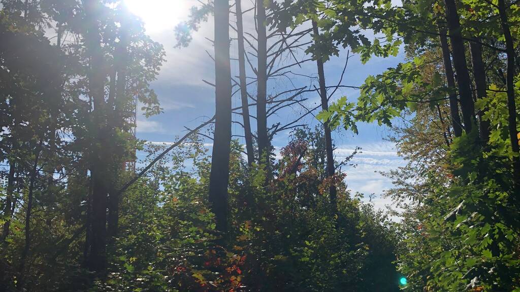 Wohnung zum Kauf - Erstbezug provisionsfrei 3 Zimmer 180,1 m² 2. Geschoss frei ab sofort Am Retzer Schübl 2 Steinberg Steinberg am See 92449