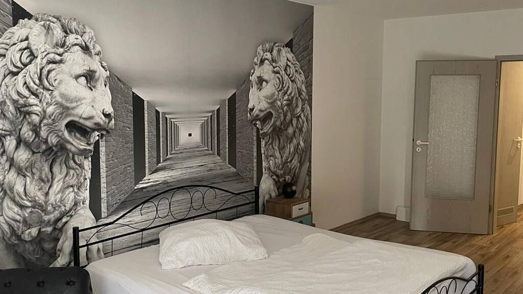 Studio zur Miete 1.000 € 1 Zimmer 44 m² 1. Geschoss frei ab sofort Weiden Weiden in der Oberpfalz 92637