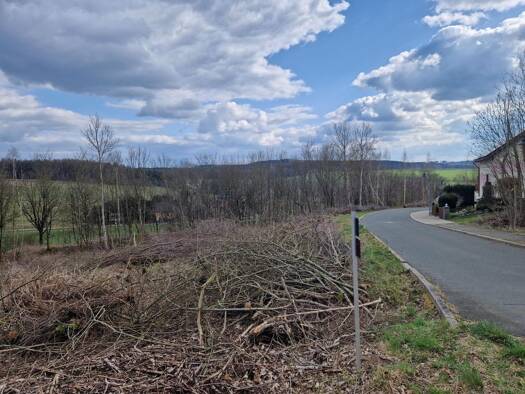 Grundstück zum Kauf 10.000 m² Grundstück Mechelgrün Neuensalz OT Mechelgrün 08541