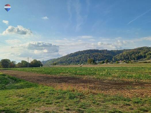Land-/Forstwirtschaft zum Kauf 229.000 € 32.984 m² Grundstück Karsau Rheinfelden (Baden) 79618