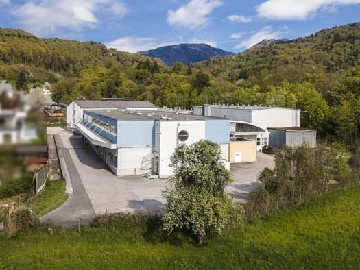 Halle/Industriefläche zur Miete 9,50 € 568,3 m² Lagerfläche Elsbethen 5061