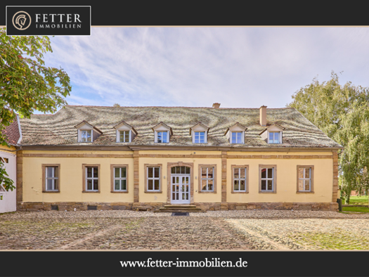 Schloss zum Kauf 760 m² 18.711 m² Grundstück frei ab sofort Nieder-Wiesen 55234