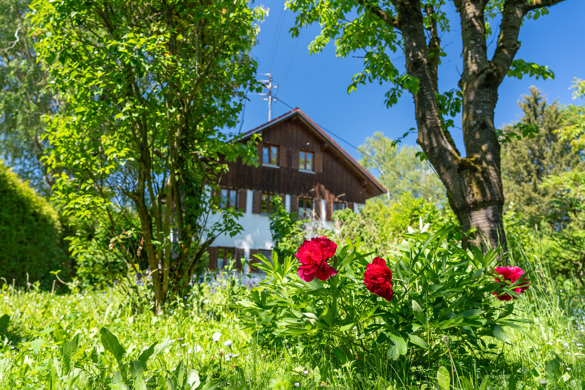 Bauernhaus zum Kauf 2.400.000 € 220 m²<br/>Wohnfläche 8.000 m²<br/>Grundstück Altenerding Erding 85435