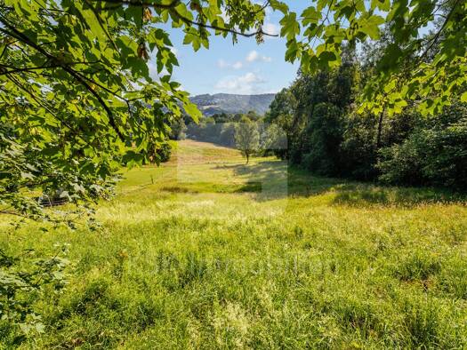 Grundstück zum Kauf 59.000 € 1.647 m² Grundstück Rosbach Windeck 51570