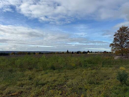 Grundstück zum Kauf 280.540 € 856 m² Grundstück Weinböhla 01689