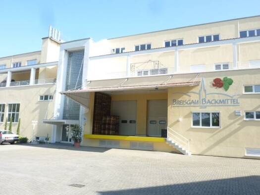 Bürofläche zur Miete provisionsfrei 11 € 258 m² Bürofläche Haslach Freiburg im Breisgau 79115