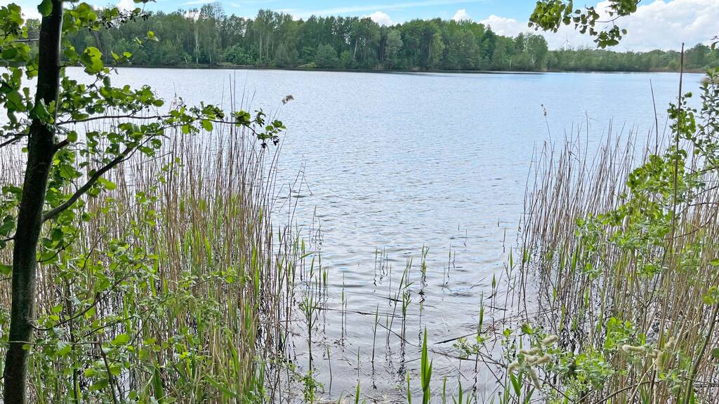 Grundstück zum Kauf provisionsfrei Zehdenick 16792