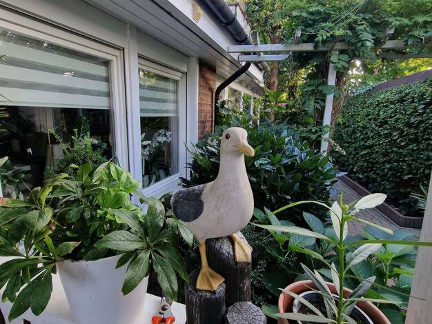 Einfamilienhaus zum Kauf 745.000 € 6 Zimmer 156 m² 1.064 m² Grundstück Kühlungsborn 18225