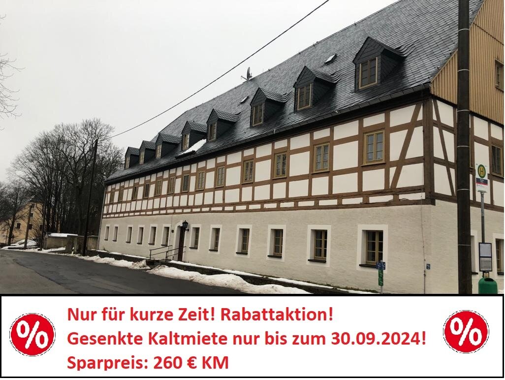 Wohnung zur Miete 260 € 2 Zimmer 53,5 m²<br/>Wohnfläche 1.<br/>Geschoss ab sofort<br/>Verfügbarkeit Dörnthal 169 Pfaffroda-Dörnthal Olbernhau 09526