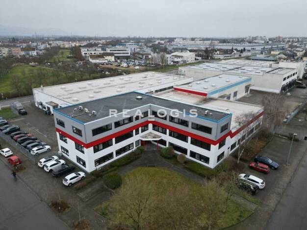 Bürofläche zur Miete provisionsfrei 150 m² Bürofläche Viernheim Viernheim 68519