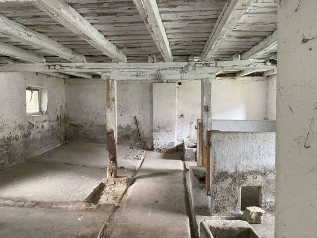 Bauernhaus zum Kauf 77.000 € 5 Zimmer 120 m² 2.500 m² Grundstück Buchholz Vierkirchen 02894