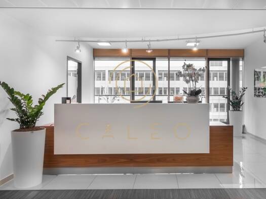 Bürofläche zur Miete provisionsfrei 25 m² Bürofläche teilbar ab 1 m² Laim München 80687