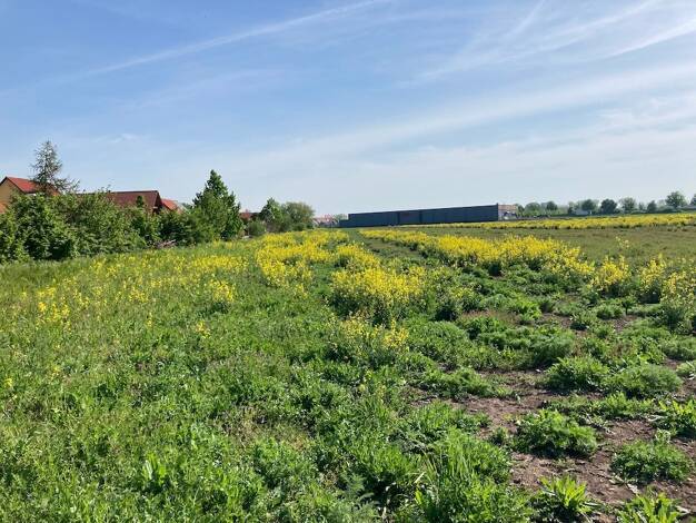 Grundstück zum Kauf 104.200 € 521 m² Grundstück Gebesee 99189