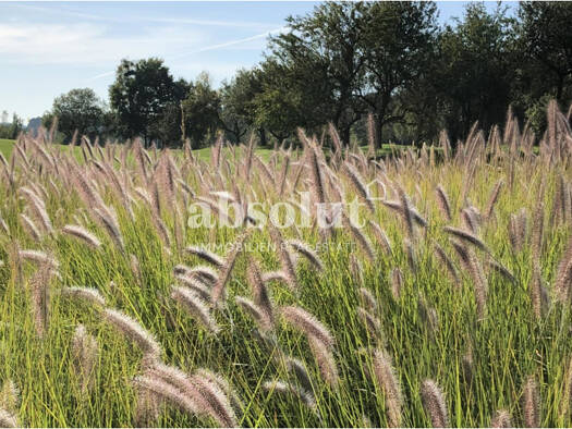 Grundstück zum Kauf 496.910 € 629 m² Grundstück Zell am See 5700