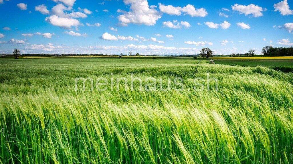 Freizeitgrundstück zum Kauf 2.500 € 472 m² Grundstück Niehuus Harrislee 24955