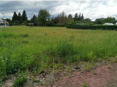 Grundstück zum Kauf provisionsfrei 65.000 € 1.101 m² Grundstück Freienhufen Großräschen 01983