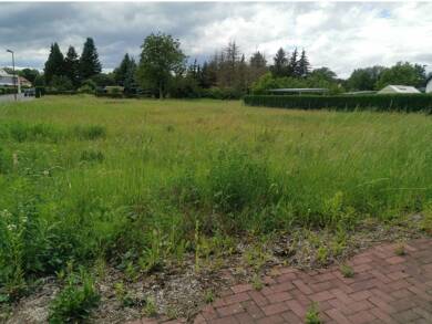 Grundstück zum Kauf provisionsfrei 95.000 € 1.101 m² Grundstück Freienhufen Großräschen 01983